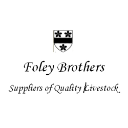 Foley Brothers